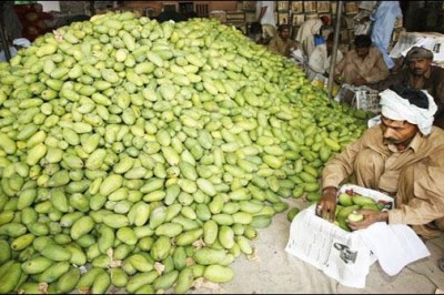 میرپورخاص میں آم کی اچھی فصل متوقع ، کاشتکاروں نے نوید سنادی