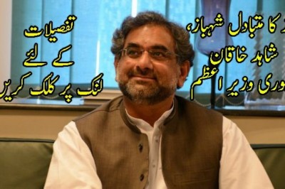 نواز کا متبادل شہباز، شاہد خاقان عبوری وزیرِ اعظم