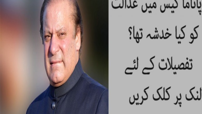 پاناما کیس میں عدالت کو کیا خدشہ تھا؟