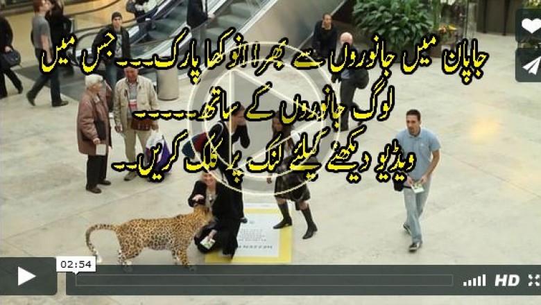 جاپان میں جانوروں سے بھرا انوکھا پارک