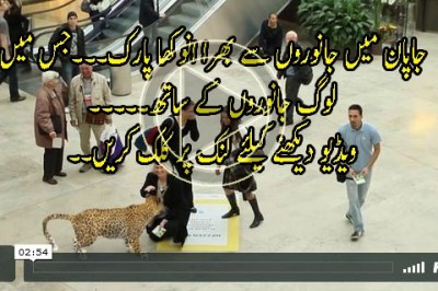 جاپان میں جانوروں سے بھرا انوکھا پارک