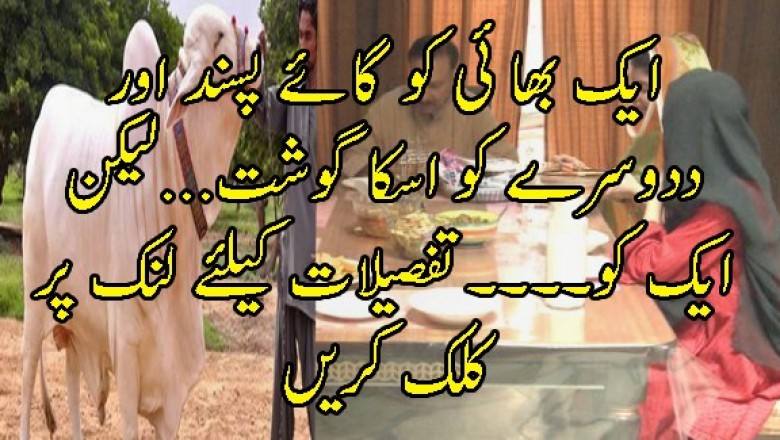 ایک بھا ئی کو گائے پسند اور ددوسرے کو اسکا گوشت