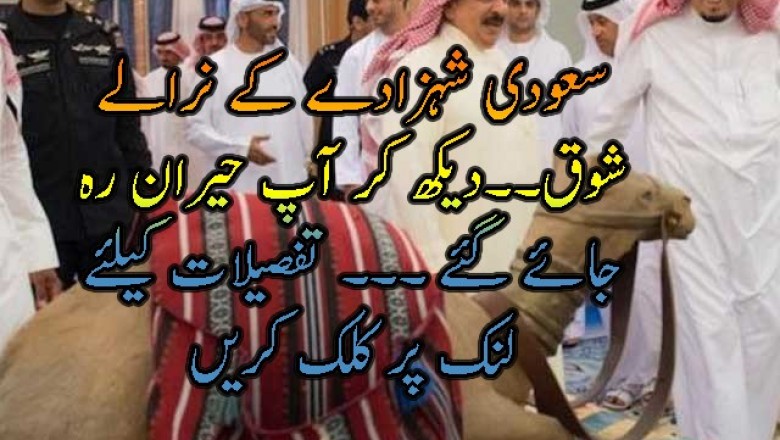 سعودی شہزادے کے نرالے  شوق