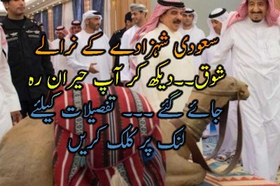سعودی شہزادے کے نرالے  شوق