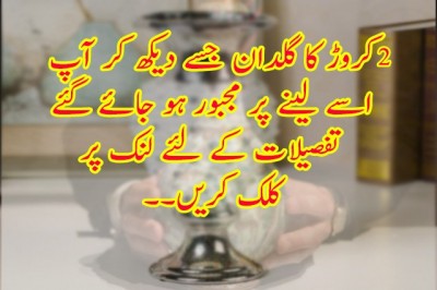 اتنا مہنگا گلدان ؟