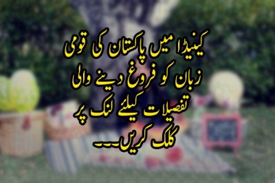 'کینیڈا میں پاکستان کی قومی زبان کو فروغ دینے والی 'سپر اردو موم