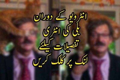 ملکی سیاست پر انٹرویو کے دوران بلی کی انٹری