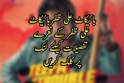 بائیکاٹ علی ظفربائیکاٹ علی ظفر کے نعرے
