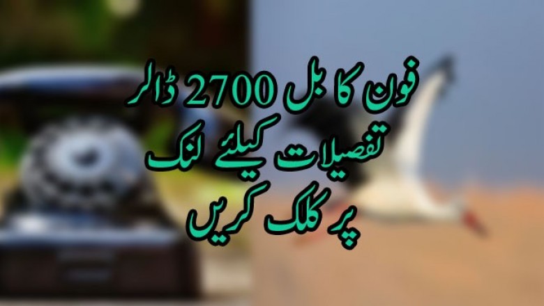 فون کا بل 2700 ڈالر