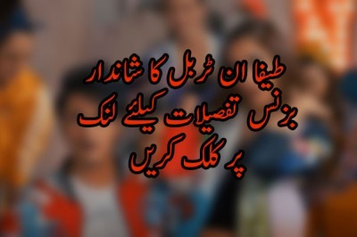 طیفا ان ٹربل کا شاندار بزنس