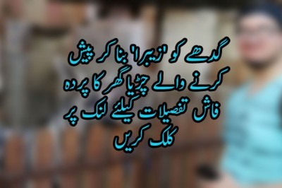  گدھے کو 'زیبرا' بنا کر پیش کرنے والے چڑیا گھر کا پردہ فاش