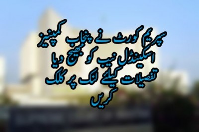 سپریم کورٹ نے پنجاب کمپنیز اسکینڈل نیب کو بھیج دیا، 10 روز میں رپورٹ طلب