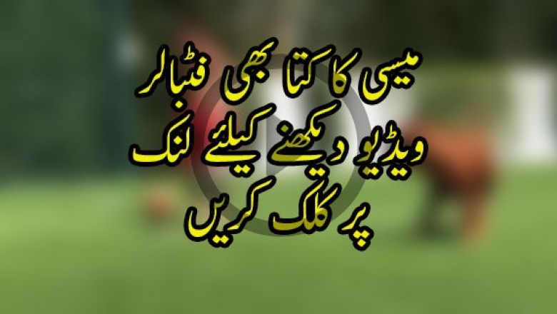 میسی کا کتا بھی فٹبالر بن گیا