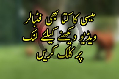 میسی کا کتا بھی فٹبالر بن گیا