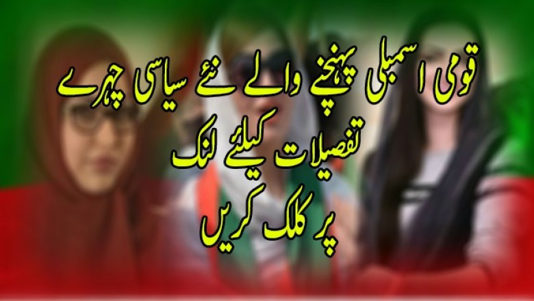  قومی اسمبلی پہنچنے والے نئے سیاسی چہرے
