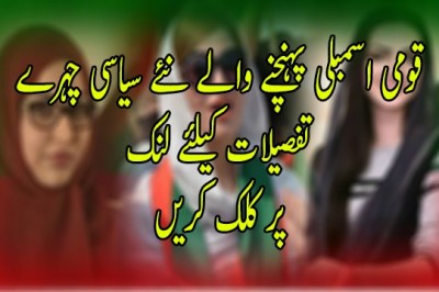  قومی اسمبلی پہنچنے والے نئے سیاسی چہرے