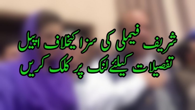 شریف فیملی کی سزا کیخلاف اپیل