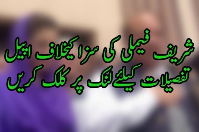 شریف فیملی کی سزا کیخلاف اپیل