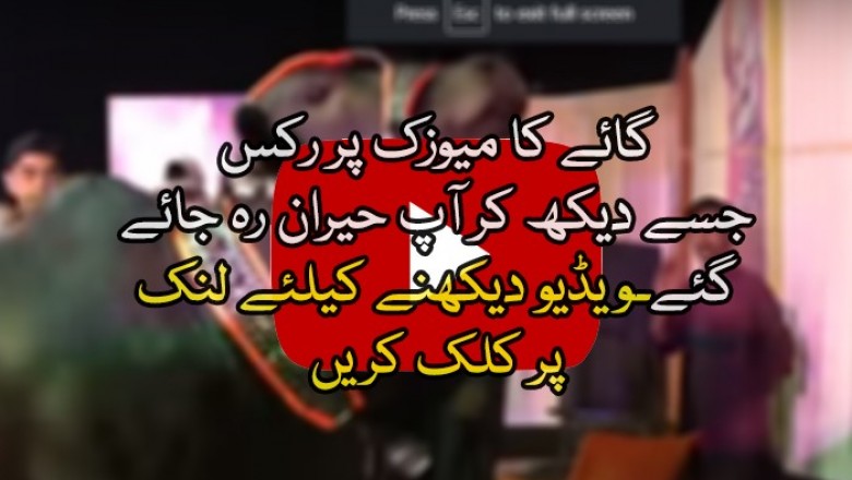 KIKI Mandi Challenge