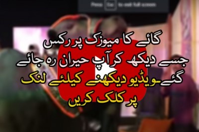 KIKI Mandi Challenge