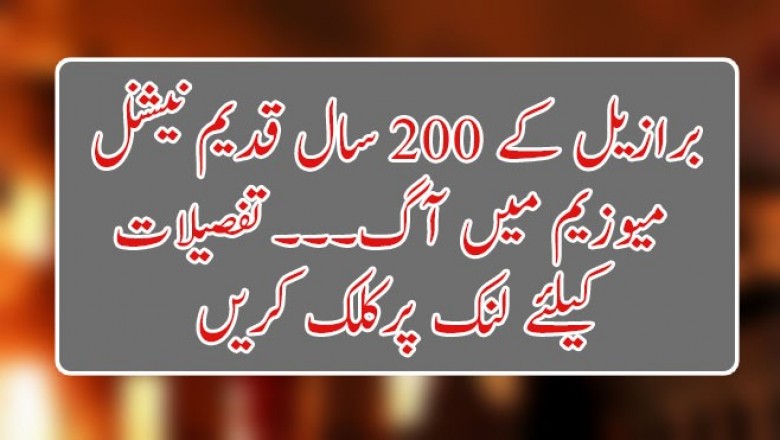 برازیل کے 200 سال قدیم نیشنل میوزیم میں آگ