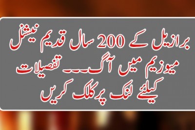برازیل کے 200 سال قدیم نیشنل میوزیم میں آگ