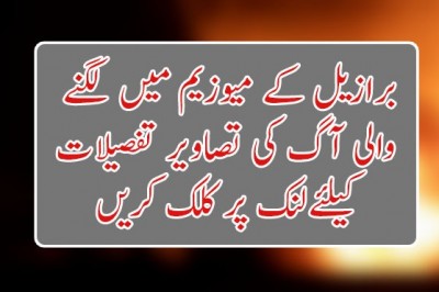 برازیل کے میوزیم میں لگنے  والی آگ کی تصاویر 