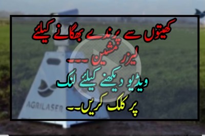 کھیتوں سے پرندے بھگانے کیلئے لیزر لائٹس کا کامیاب تجربہ