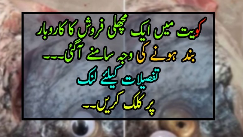 کویت میں مچھلی فروش کا کاروبار  بند  ہونے کی وجہ سامنے آگئی۔۔۔