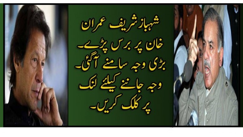 شہبازشریف عمران خان پر برس پڑے۔  وجہ جاننے کیلئے لنک  پر کلک کریں۔
