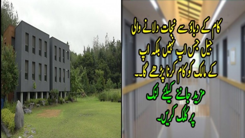کام کے دباؤ سے نجات دلانے والی جیل جس اپ نہیں بلکہ اپ  کے مالک کو کام کرنا پڑھے گا۔۔
