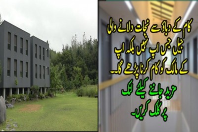 کام کے دباؤ سے نجات دلانے والی جیل جس اپ نہیں بلکہ اپ  کے مالک کو کام کرنا پڑھے گا۔۔