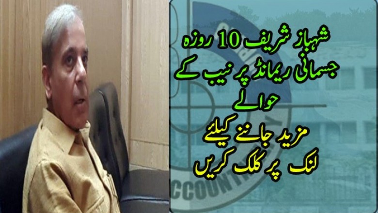 آشیانہ ہاؤسنگ کیس: شہباز شریف 10 روزہ جسمانی ریمانڈ پر نیب کے حوالے
