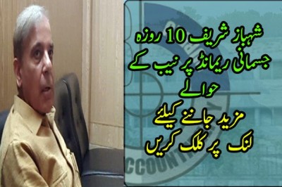 آشیانہ ہاؤسنگ کیس: شہباز شریف 10 روزہ جسمانی ریمانڈ پر نیب کے حوالے