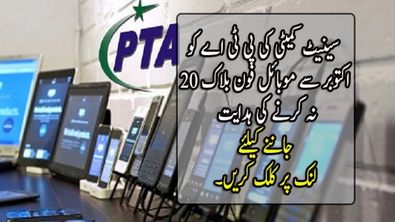 سینیٹ کمیٹی کی پی ٹی اے کو 20 اکتوبر سے موبائل فون بلاک نہ کرنے کی ہدایت