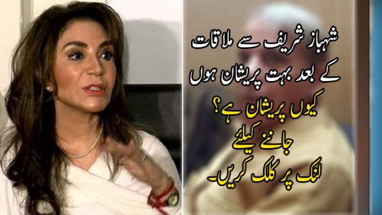 شہباز شریف سے ملاقات کے بعد بہت پریشان ہوں: اہلیہ تہمینہ درانی