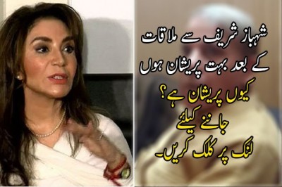 شہباز شریف سے ملاقات کے بعد بہت پریشان ہوں: اہلیہ تہمینہ درانی