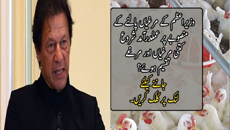وزیراعظم کے مرغیاں پالنے کے منصوبے پر عملدرآمد شروع