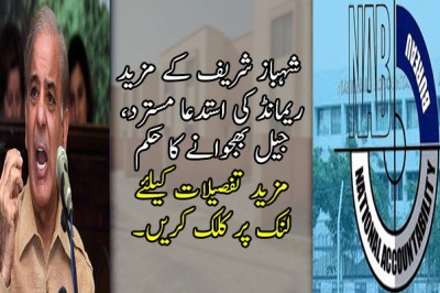  شہباز شریف کے مزید ریمانڈ کی استدعا مسترد، جیل بھجوانے کا حکم