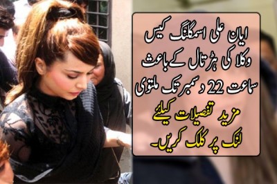 وکلا کی ہڑتال کےباعث سماعت 22 دسمبرتک ملتوی