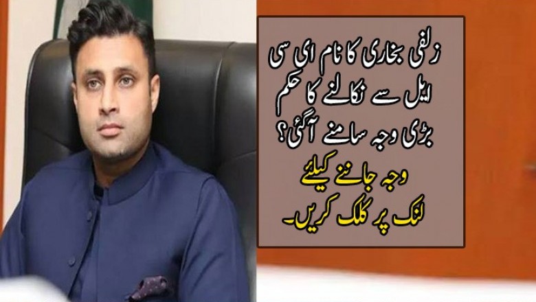 اسلام آباد ہائیکورٹ نے زلفی بخاری کا نام ای سی ایل سے نکالنے کا حکم 