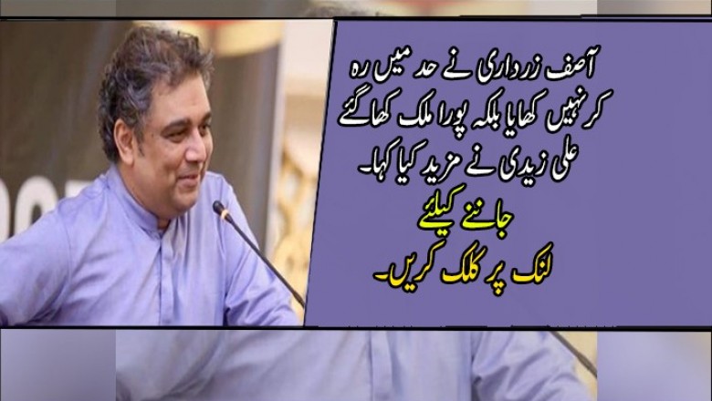 آصف زرداری نے حد میں رہ کرنہیں کھایا بلکہ پورا ملک کھاگئے