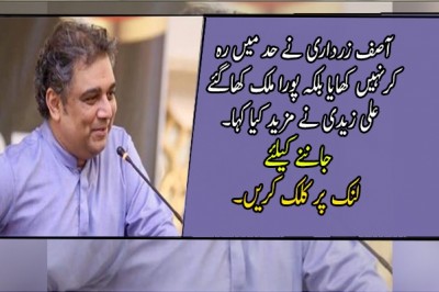 آصف زرداری نے حد میں رہ کرنہیں کھایا بلکہ پورا ملک کھاگئے