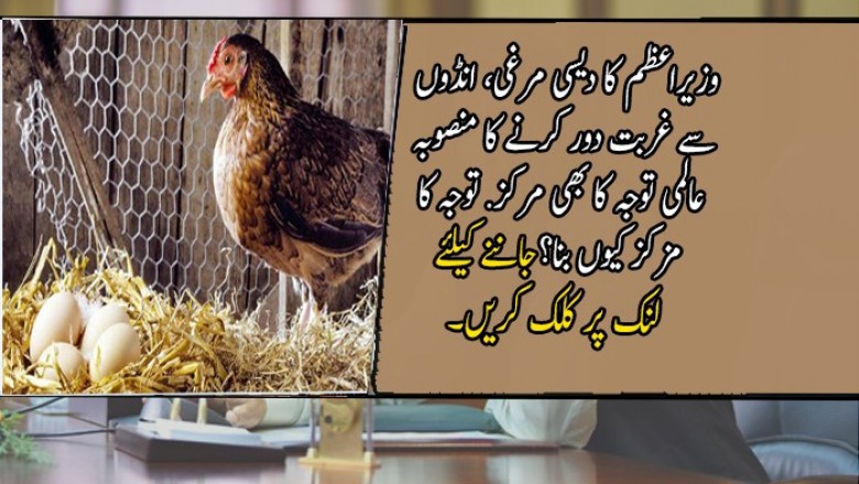 وزیراعظم کا دیسی مرغی، انڈوں سے غربت دور کرنے کا منصوبہ عالمی توجہ کا بھی مرکز