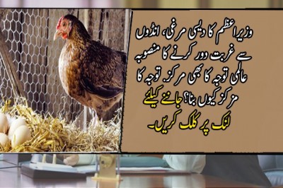 وزیراعظم کا دیسی مرغی، انڈوں سے غربت دور کرنے کا منصوبہ عالمی توجہ کا بھی مرکز