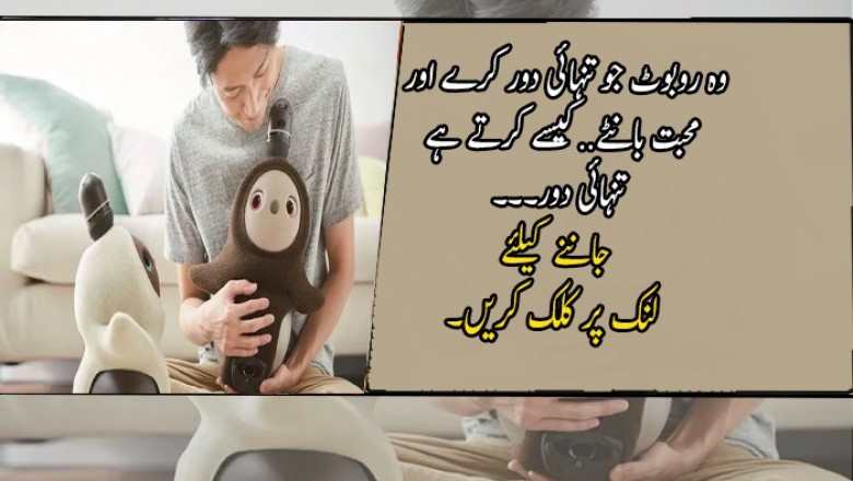 وہ روبوٹ جو تنہائی دور کرے اور محبت بانٹے