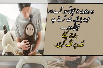 وہ روبوٹ جو تنہائی دور کرے اور محبت بانٹے
