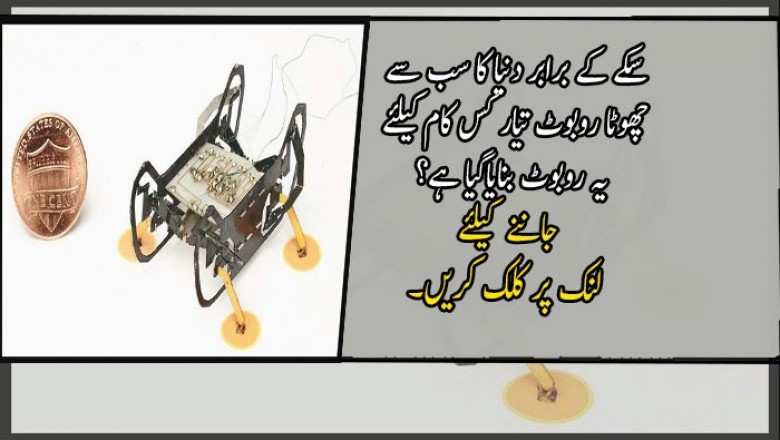 سکے کے برابر دنیا کا سب سے چھوٹا روبوٹ تیار