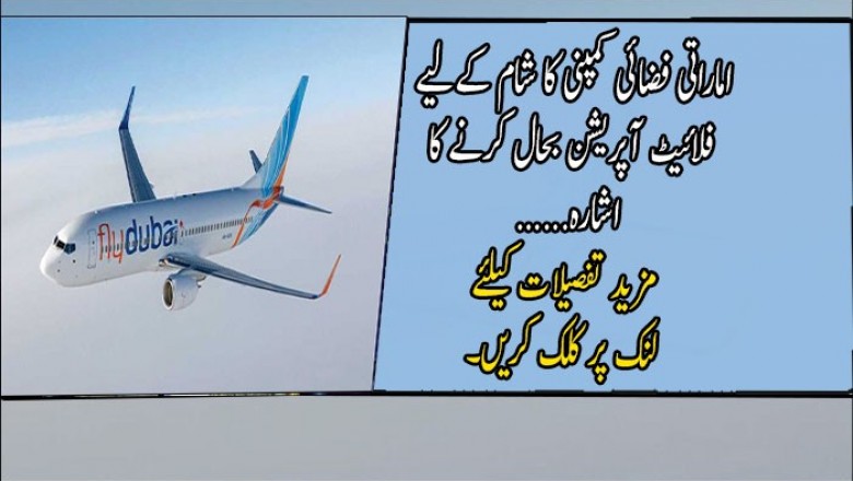 اماراتی فضائی کمپنی کا شام کےلیے فلائیٹ آپریشن بحال کرنے کا اشارہ