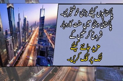 پاکستانی دبئی میں مفت کاروبار شروع کرسکیں گے